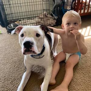 Meet your Posher, Bradford